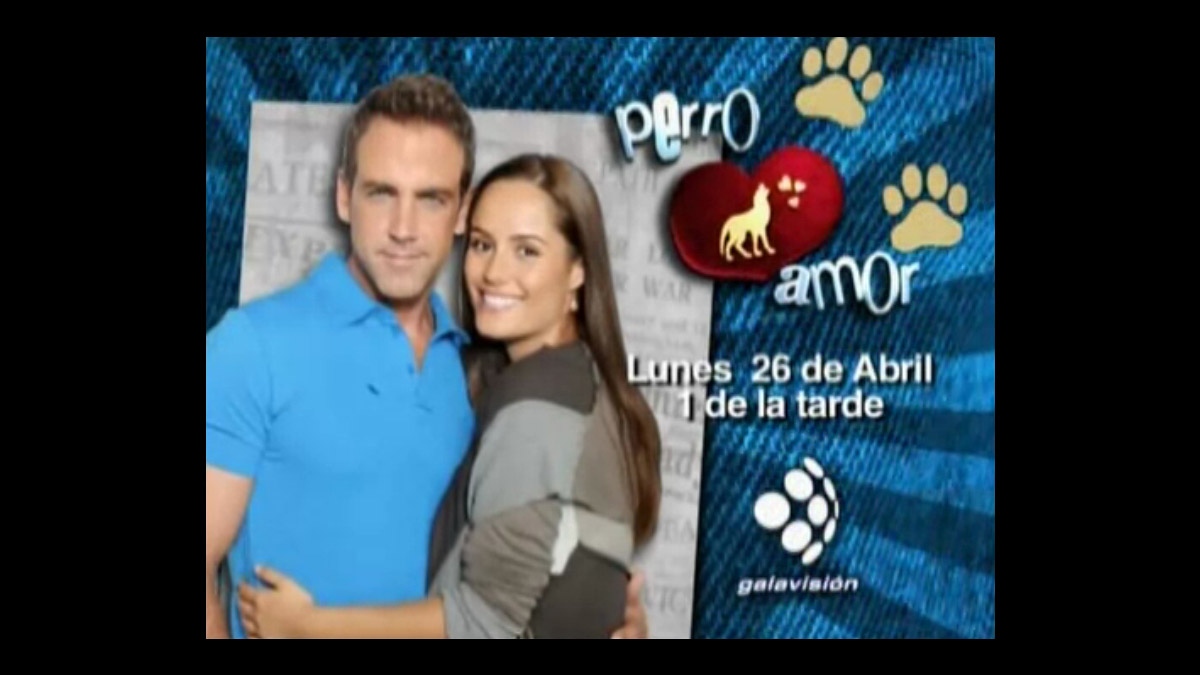Estable Conclusión Un evento Galavisión estrena la telenovela Perro Amor - Noti Novelas