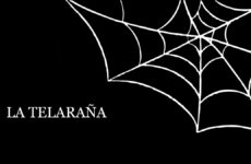 serie la telaraña
