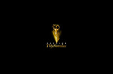 premios tvynovelas 1996