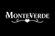 quien es quien telenovela monteverde
