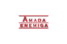 elenco telenovela amada enemiga