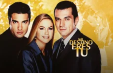 telenovela mi destino eres tu