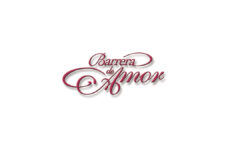 elenco telenovela barrera de amor