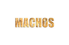 elenco telenovela machos