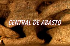 logo unitario central de abasto