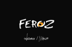 telenovela feroz