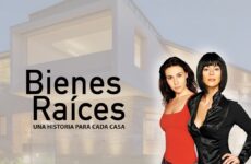 serie bienes raices una historia para cada casa