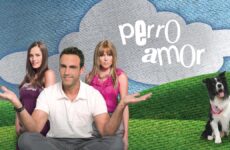 elenco telenovela perro amor