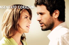 insensato corazon